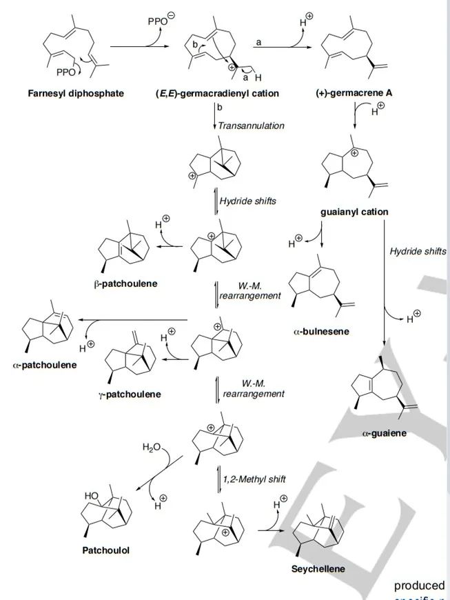 生物合成香料的化學(xué)組成、可持續(xù)性和天然性